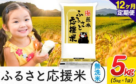 【12ヶ月定期便】米 無洗米 熊本 ふるさと応援 定期便 米 5kg