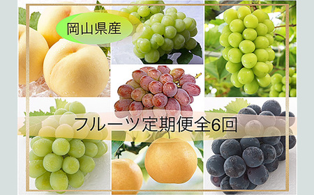 岡山県産 フルーツ定期便 全6回【2026年産】