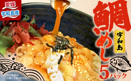 海鮮丼 鯛めし 5食 南予ビージョイ海鮮丼 D010-150011