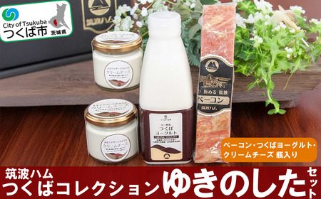 筑波ハム ゆきのしたセット（ベーコン230g/つくばヨーグルト500ml/クリームチーズ120g×2個）