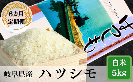 ≪令和7年産≫【6か月定期便】岐阜ハツシモ5kg