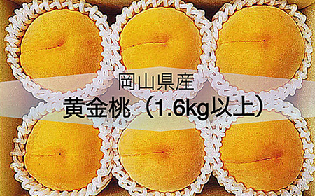 岡山県産 黄金桃6玉(1.6kg以上) 化粧箱入り【2026年8月下旬～9月中旬発送予定】