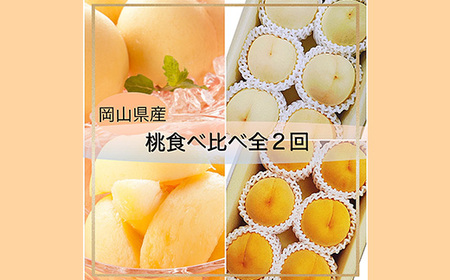 岡山県産 桃食べ比べ全2回【2026年産】