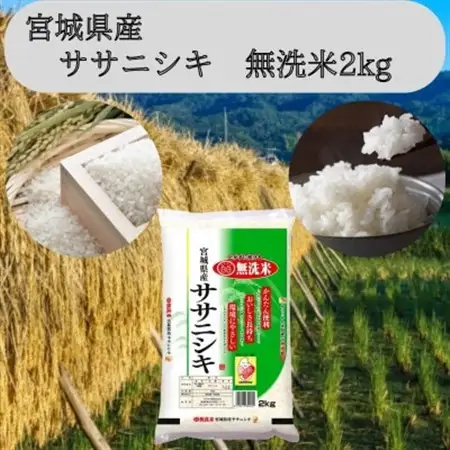 令和7年産　宮城県産【ササニシキ】無洗米2kg_ 無洗米 米 こめ コメ_【1545986】
