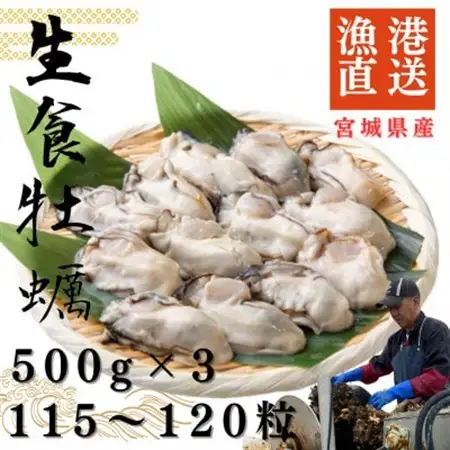 宮城県牡鹿半島産　鮮生牡蠣　500g×3_魚介・海産物 牡蠣（カキ） 貝 かき_【配送不可地域：離島・沖縄県・九州】【1550906】