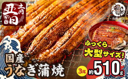 G7314_【土用の丑の日】＜7月26日までにお届け＞ふっくら柔らか 国産うなぎ蒲焼き 3尾