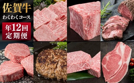 定期便 年12回 佐賀牛 わくわくコース 牛肉 肉 お肉 12回 ※配送不可：北海道、沖縄県、離島