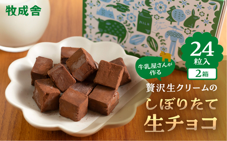 生チョコレート  2箱(1箱12粒入り)   生クリーム使用 チョコレート スイーツ 冷凍 洋菓子 ギフト 贈答 贈り物 プレゼント 牧成舎 ホワイトデー[Q2332x]
