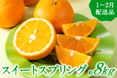 AA091.【予約受付・期間限定商品】福岡柑橘王国・スイートスプリング／約8kg(2027年1月～2月配送予定）