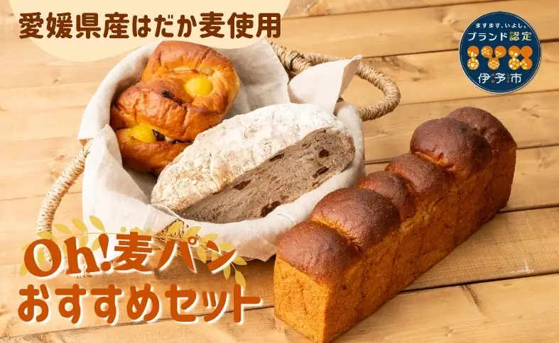 【愛媛県産大麦（はだか麦）使用】Ｏｈ！麦パン オススメセット パン 篠崎ベーカリー  詰め合わせ こだわり おすすめ 食べ比べ おやつ 朝ごはん 伊予市 老舗 | A76