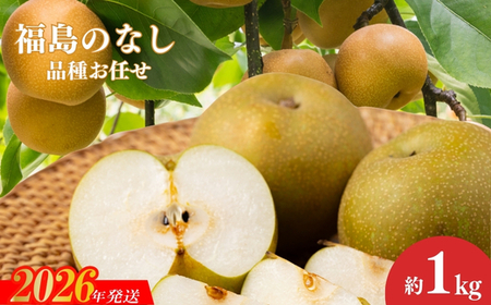 No.3018 福島のなし 品種お任せ 約1kg【2026年発送】