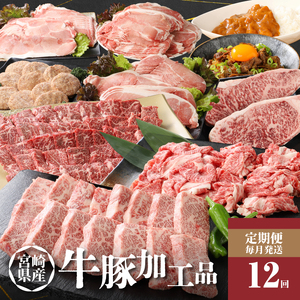  ＜12か月定期便 宮崎県産 牛・豚・加工品定期便！＞ K16_T005_1