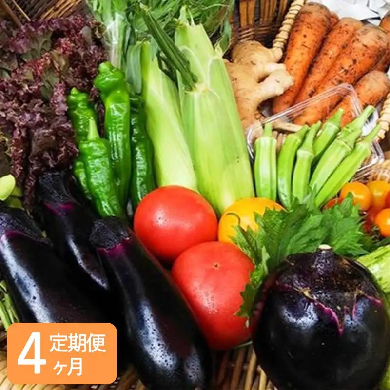 〈4ヶ月定期便〉【アスカ有機農園】旬のこだわり京野菜セットS