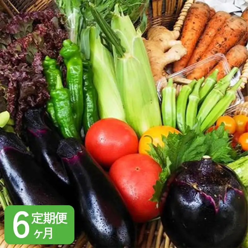 〈6ヶ月定期便〉【アスカ有機農園】旬のこだわり京野菜セットS