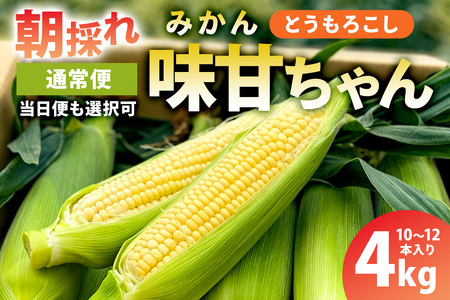 【通常便】【先行受付 2026年6月20日～8月上旬発送予定】早朝収穫！とうもろこし10～12本（味甘ちゃん・みかんちゃん）【本州限定のお届け】 mi0046-0008