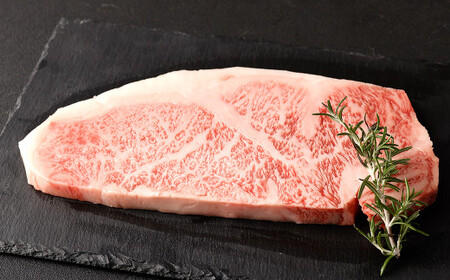 黒樺牛 【2回 定期便】 肉厚 サーロイン ステーキ 300g×1パック 計600g 牛肉 ステーキ 和牛 牛 お肉 黒毛和牛 国産 九州産 熊本県産 冷凍