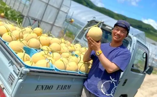 【2026年発送】遠藤ファームの中富良野メロン青肉大玉１玉（1.6kg以上）【AX-007】