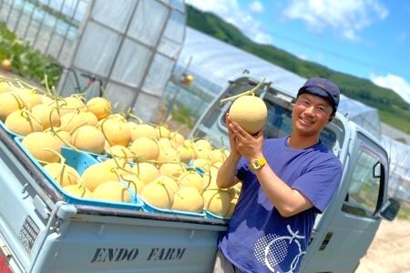 【2026年発送】遠藤ファームの中富良野メロン青肉8kg以上（3～6玉）【AX-009】