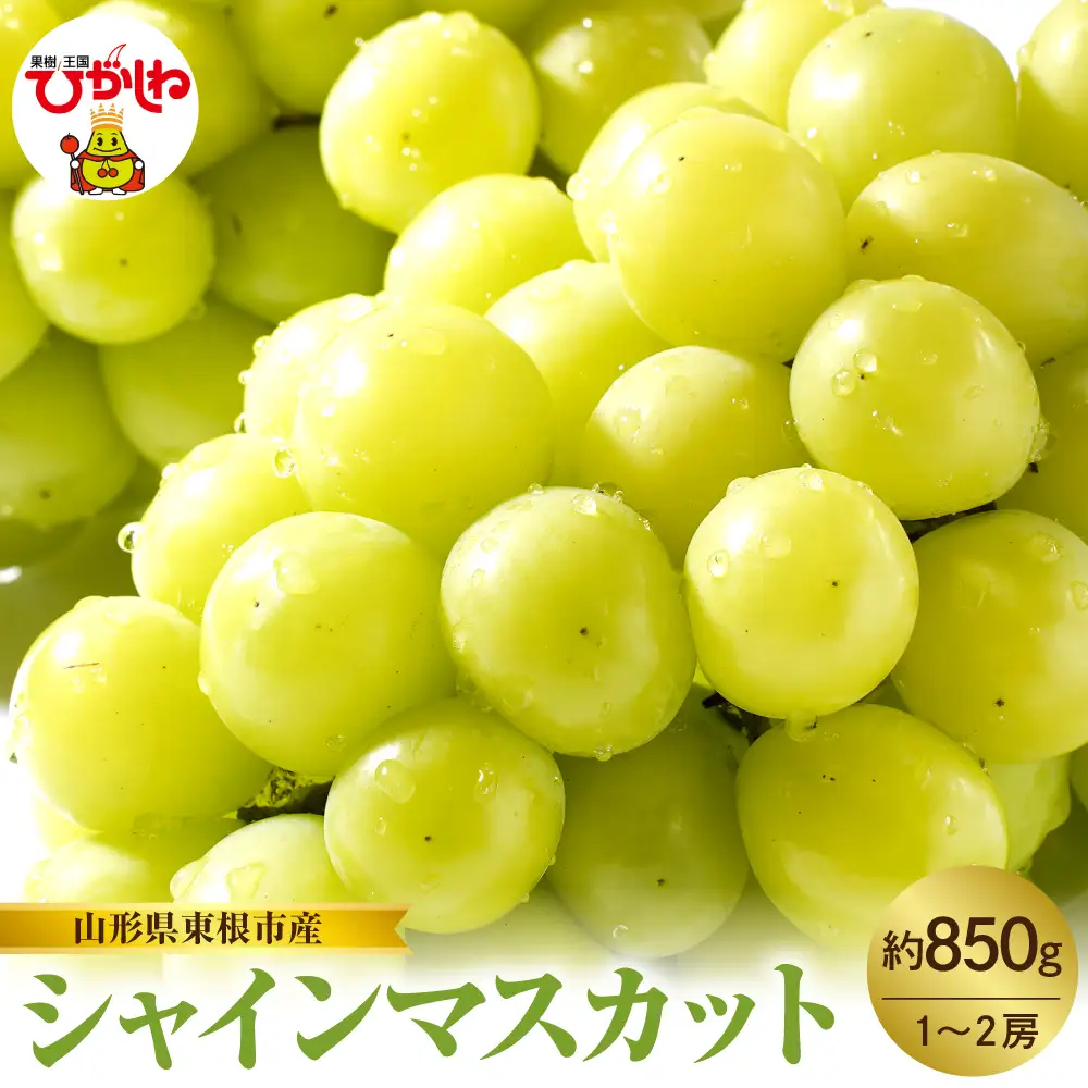 2026年産 シャインマスカット 約850g シャインマスカット