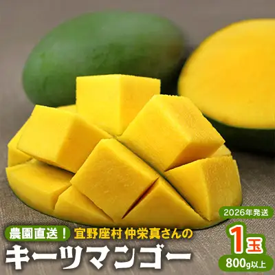 【2026年発送】農園直送！宜野座村　仲栄真さんのキーツマンゴー1玉（800g以上） フルーツ 甘い 美味しい 特徴 香り お取り寄せ Mango ランキング 大きい 希少 贈り物 ビタミン おすすめ 贅沢 栄養価 国産 沖縄県 人気 産地直送 送料無料