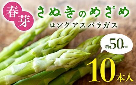 【先行予約2027年2月～5月頃お届け】春芽 さぬきのめざめ 約50cmロングアスパラガス 10本入り アスパラ サラダ お弁当 おかず フレッシュ 新鮮 琴平 香川 F5J-762