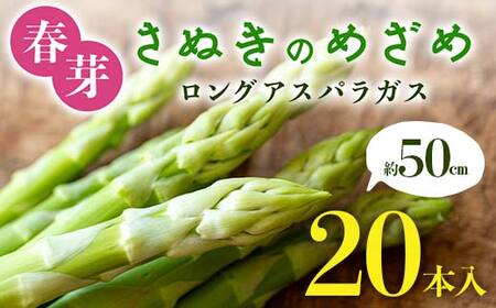 【先行予約2027年2月～5月頃お届け】春芽 さぬきのめざめ 約50cmロングアスパラガス 20本入り アスパラ サラダ お弁当 おかず フレッシュ 新鮮 琴平 香川 F5J-763