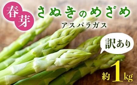 【先行予約2026年2月中旬～2026年6月下旬頃お届け】【訳あり】春芽 さぬきのめざめアスパラガス 約1kg 1万円 F5J-767