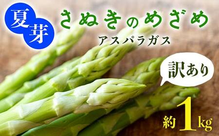 【先行予約2026年6月～10月頃お届け】【訳あり】夏芽 さぬきのめざめアスパラガス 約1kg 1万円 F5J-771