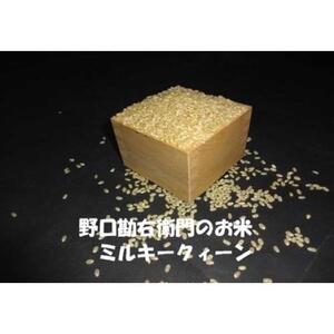 【7年産】野口勘右衛門のお米「玄米食最適米（ミルキークイーン）」玄米30kg