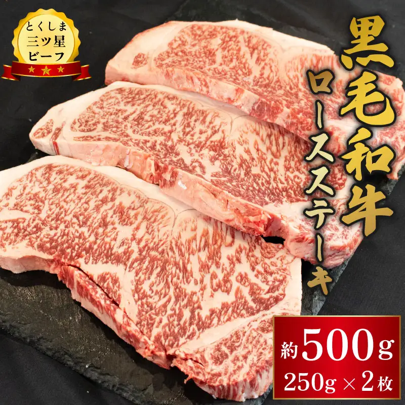 黒毛和牛 阿波牛 ロース ステーキ 500g (250g×2枚) 【 牛肉 】