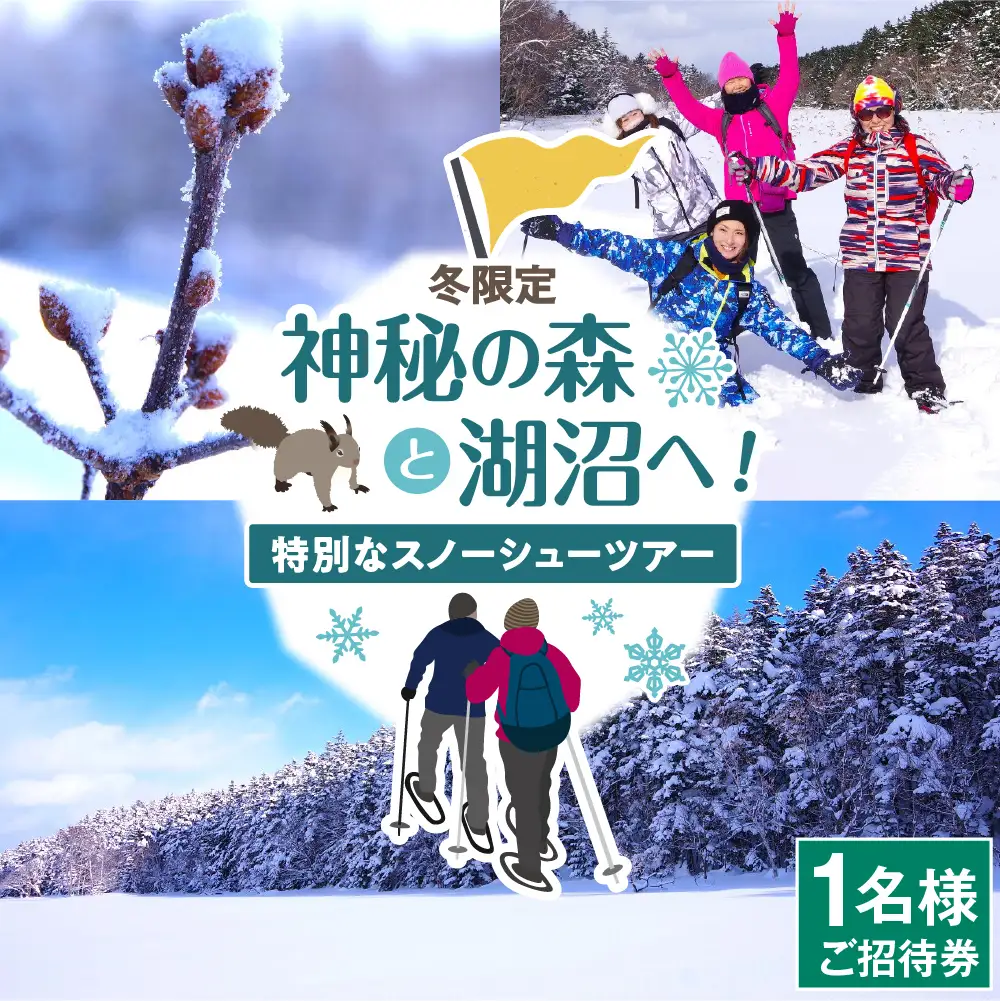 神秘の森と湖沼へ！特別なスノーシューツアー