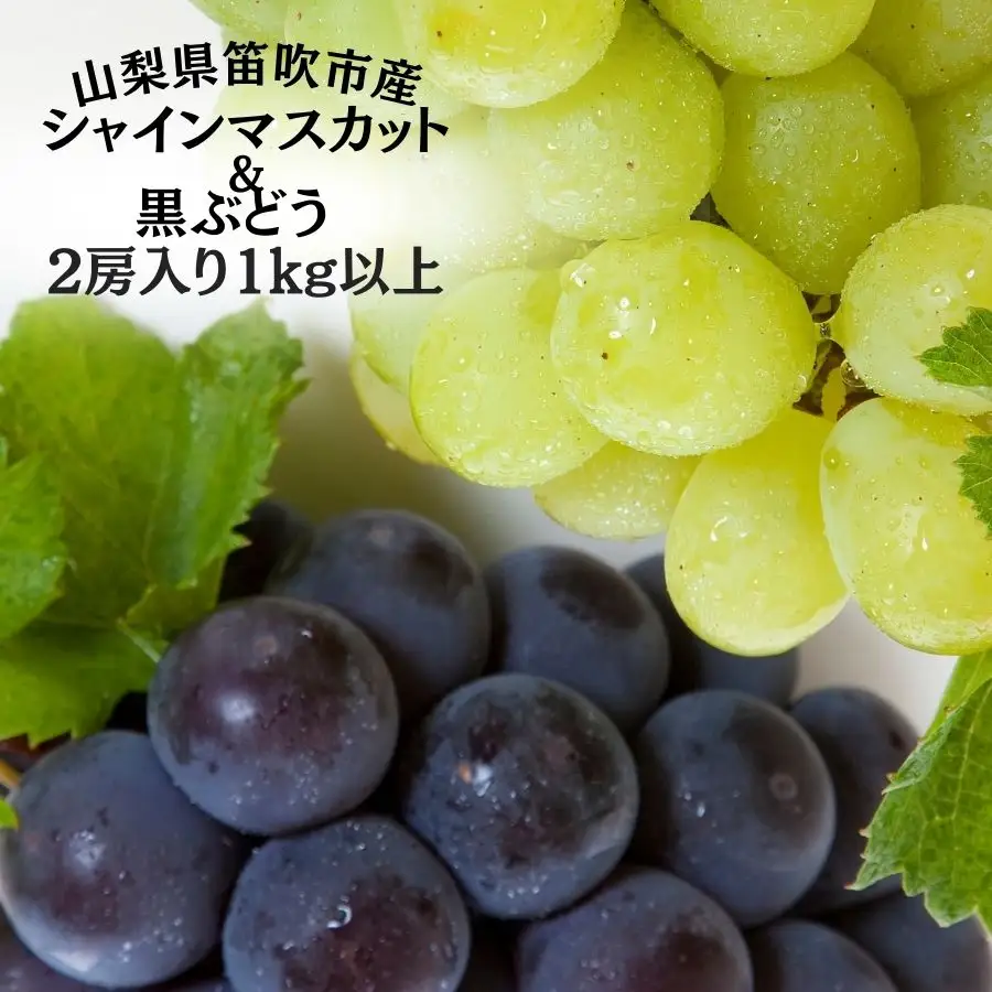 【2026年発送★先行予約】笛吹市産旬の葡萄２房入り２色セット 1kg以上 167-142-26y