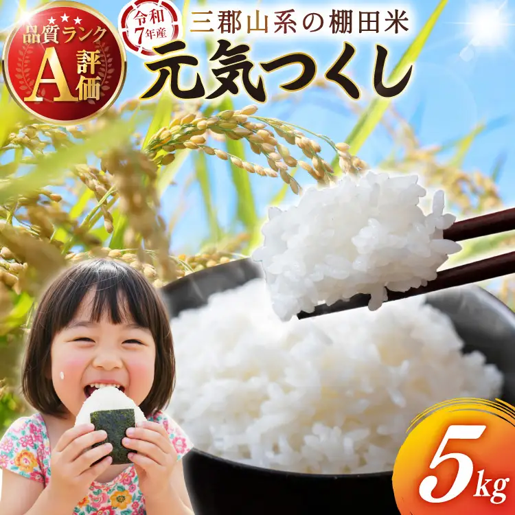 白米 精米 元気つくし 令和7年産 白米 5kg [um40azp240001]