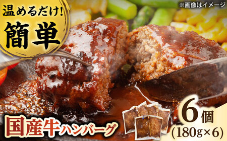国産牛ハンバーグ 6個 / 牛肉100% 温めるだけ 冷凍 個包装 惣菜 おかず / 栗東市 / 株式会社近江フーズ[BIBU003]