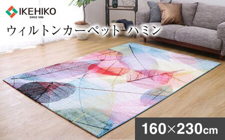 02-AW-0125・ウィルトンカーペット ハミン 160×230ｃｍAA434