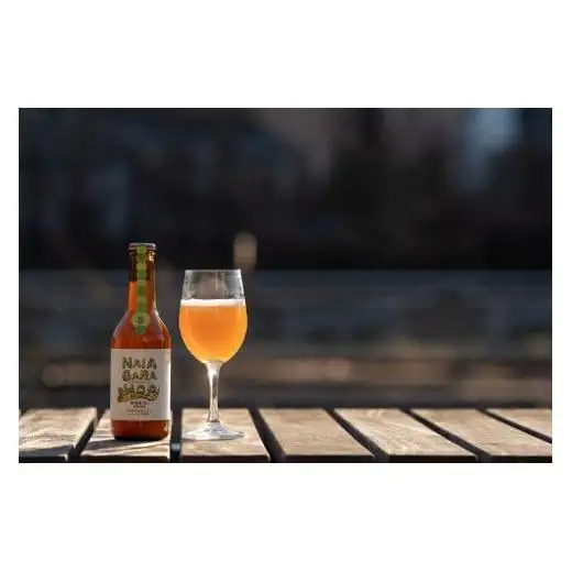 塩尻産ナイアガラ100%使用 ナイアガラホップ 2本入り | ビール クラフトビール 贈答 ギフト 長野県 塩尻市