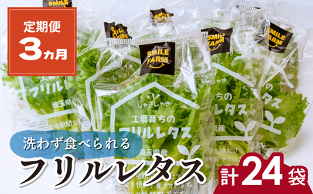 フリルレタス 8袋(80～110g/袋)×3ヶ月 計24袋 定期便 | レタス