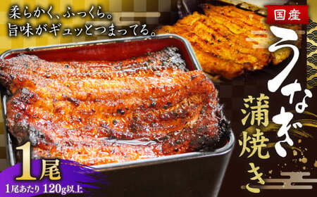 ウナギ 蒲焼き 1尾 約140g以上 鰻 うなぎ かば焼き 蒲焼 魚 お魚 さかな 国産
