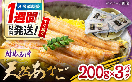 【1週間以内発送】対馬産 西沖あなご 200g×3パック [WAA005] アナゴ 白焼き 穴子 あなご スピード発送 最速発送 最短発送