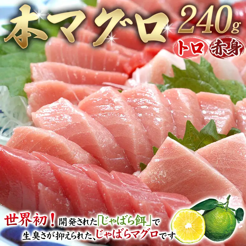 本マグロ（養殖）トロ＆赤身セット 240g まぐろ【nks113】
