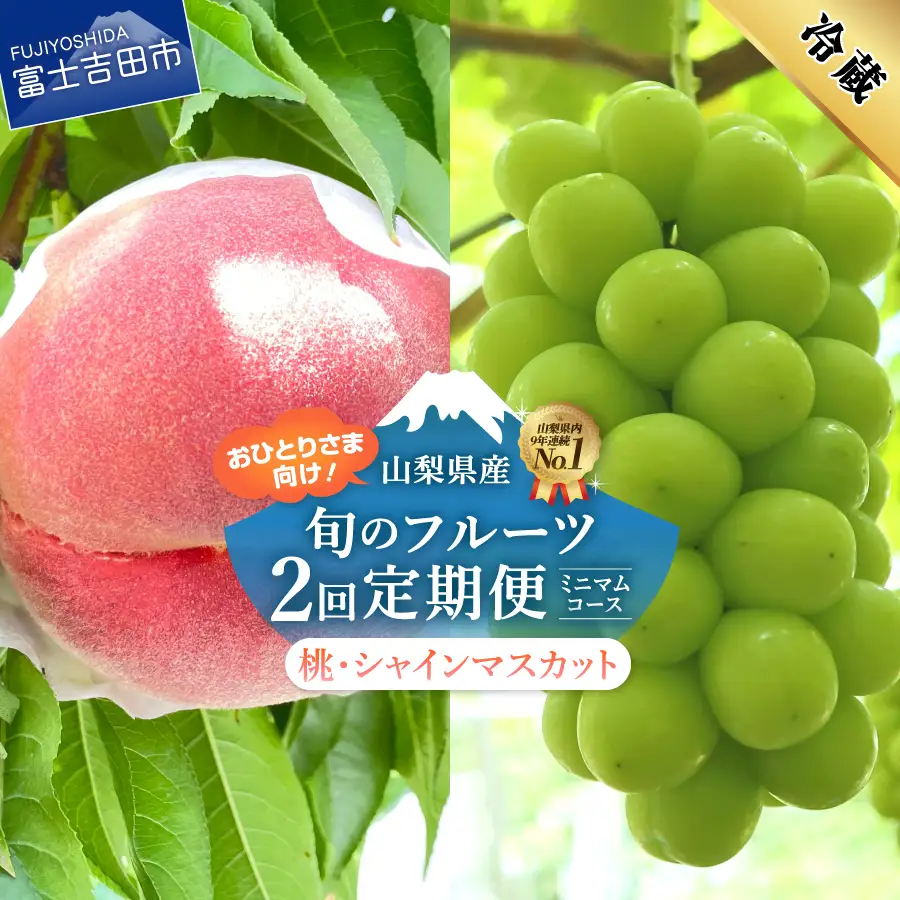 2回 厳選旬のフルーツ定期便ミニマム（桃3玉・シャインマスカット1房）【2026年発送】定期便