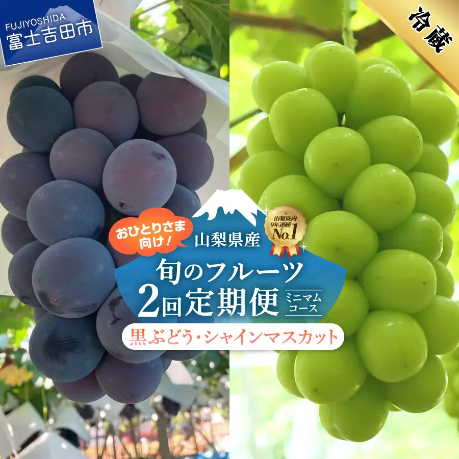 厳選旬のフルーツ ミニマム2回定期便（黒ぶどう1房・シャインマスカット1房）【2026年発送】