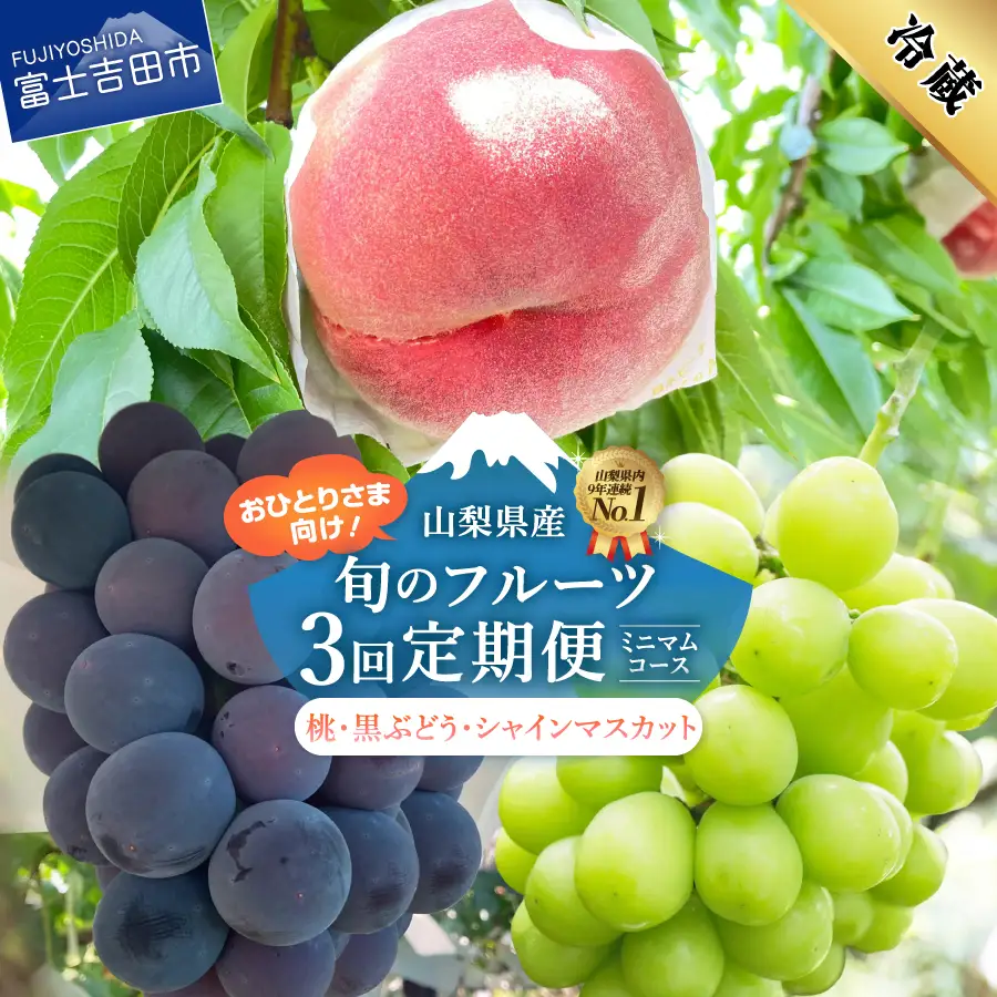 3回 厳選旬のフルーツ定期便 ミニマム（桃3玉・黒ぶどう1房・シャインマスカット1房）【2026年発送】定期便
