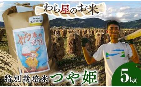 【わら屋のお米】 令和7年産 特別栽培米 つや姫 5kg 『おがわ藁農園』 米 白米 精米 ご飯 農家直送 山形県 南陽市 [2167]