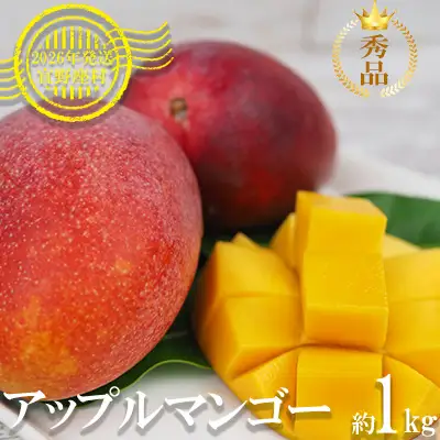 マンゴー 拠点産地【2026年発送】「宜野座村」秀品アップルマンゴー（約1kg）
