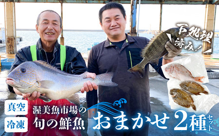 渥美魚市場の旬の鮮魚　おまかせ2種セット 下処理済み 魚セット 愛知県 田原市  鮮魚セット　鮮魚BOX