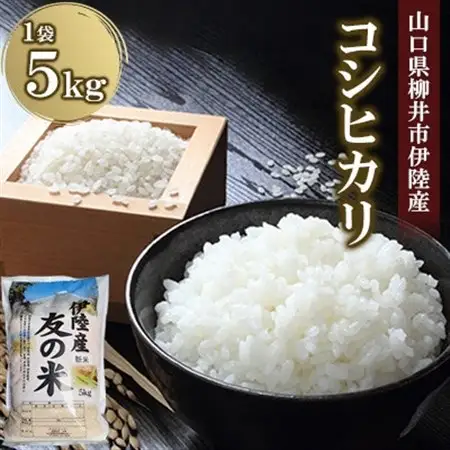 水稲うるち精米 5kg_ 精米 米 _【1573891】