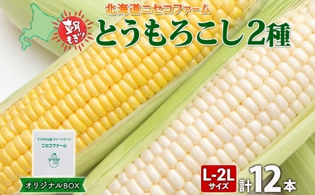 【 2026年 発送 】 北海道産 とうもろこし 2種 計12本 L-2L サイズ混合 味来 ロイシーコーン 食べ比べ セット 旬 朝採り 新鮮 トウモロコシ とうきび お取り寄せ 産地直送 野菜 しりべしや 送料無料 