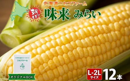 【 2026年 発送 】 北海道産 とうもろこし 味来 計12本 L-2L サイズ混合 大きめ みらい 旬 朝採り 新鮮 トウモロコシ 甘い 夏野菜 とうきび お取り寄せ 産地直送 野菜 しりべしや 送料無料 