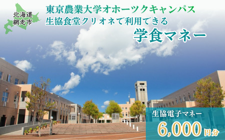 東京農業大学オホーツクキャンパス生協食堂クリオネで利用できる「学食マネー」 6,000円分【 ふるさと納税 人気 おすすめ ランキング 学食 大学 東京農業大学 東農大 東京農業 オホーツク キャンパス クーポン 券 学生 北海道 網走市 】 ABBF002